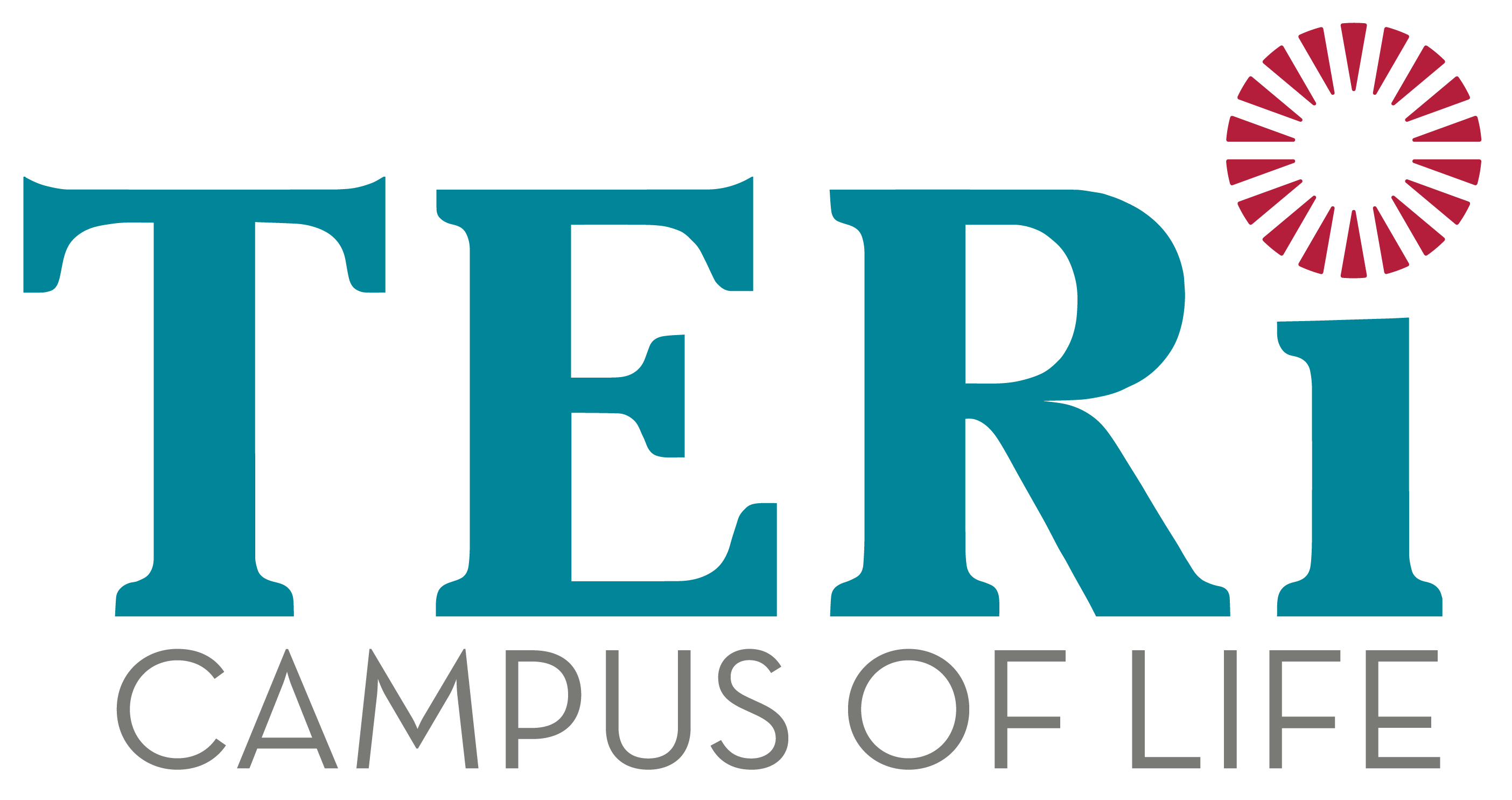 TERILogo_Teal_Gray_strapline (primary) TERILogo_Teal_Gray_strapline (primary)